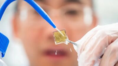 Inovasi Material Baru Dorong Efisiensi Hidrogen dari Sinar Matahari